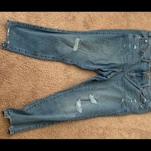 Brand new Torrid Jeggings